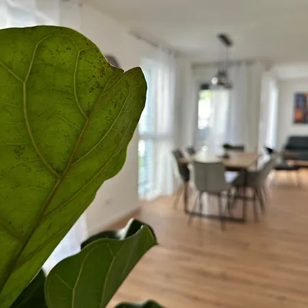 Amao-pearl - Business - Balcony - Parking Apartmán Offenburg